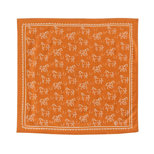 This is a brown party favors by Jollity and Co called yeehaw "horse" bandana in standard
