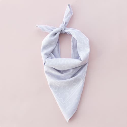 This is a purple party favors by Jollity and Co called pony tales "horseshoe" bandana in standard