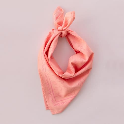 This is a orange party favors by Jollity and Co called pony tales "horse" bandana in standard