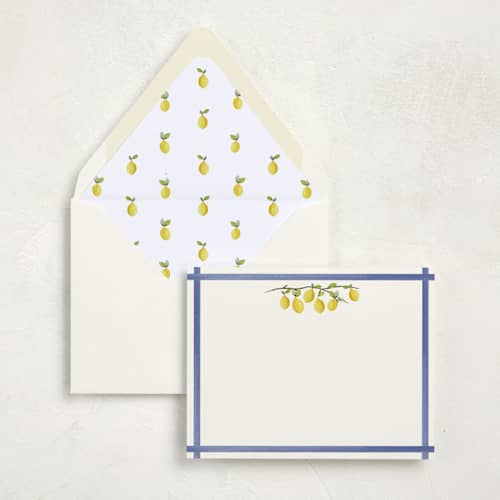 This is a zest stationery set by Tina Faselli called limoncello (set of 10) in standard