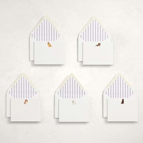 This is a multi stationery set by Sarah Knight called man's best friend (set of 10) in standard