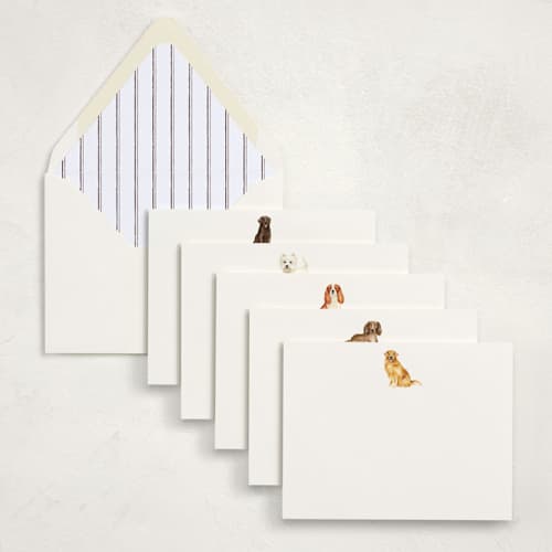 This is a multi stationery set by Sarah Knight called man's best friend (set of 10) in standard