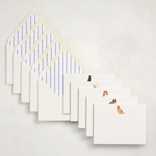 This is a multi stationery set by Sarah Knight called man's best friend (set of 10) in standard
