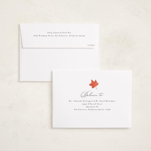 This is a cotton thanksgiving cards invitations with standard by Morgan Kendall called simple script printing on recycled smooth signature in standard