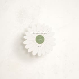 Mini Novelty Enclosure Cards