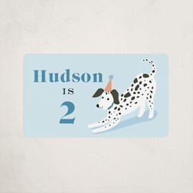 Children's Birthday Party Stickers