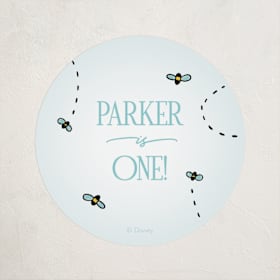 Children's Birthday Party Stickers