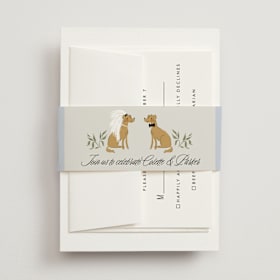 Bridal Shower Belly Bands