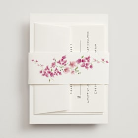 Bridal Shower Belly Bands