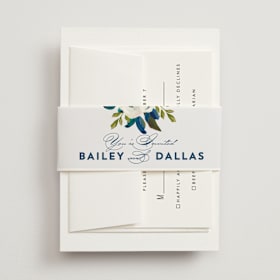 Belly Bands