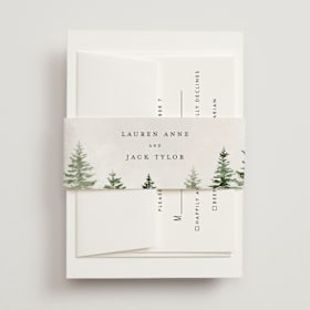 Belly Bands