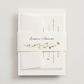 Foil-Pressed Belly Bands