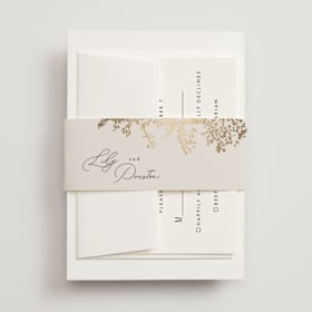 Foil-Pressed Belly Bands