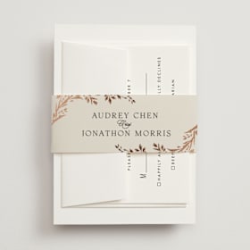 Foil-Pressed Belly Bands