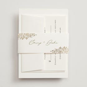 Foil-Pressed Belly Bands