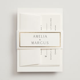 Foil-Pressed Belly Bands