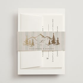 Foil-Pressed Belly Bands