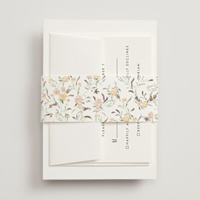 Foil-Pressed Belly Bands