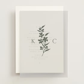 Vellum Overlays