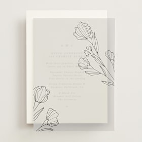 Vellum Overlays