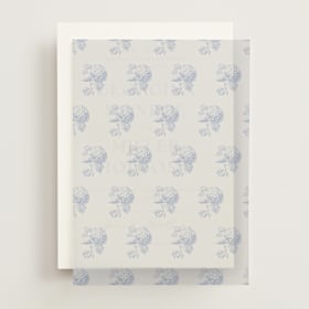 Vellum Overlays