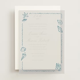 Vellum Overlays