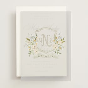 Vellum Overlays