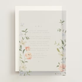 Vellum Overlays