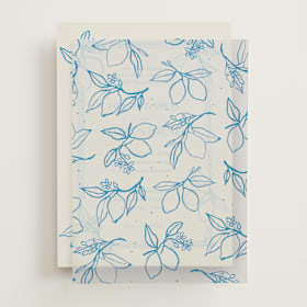 Vellum Overlays