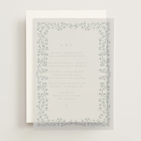 Vellum Overlays