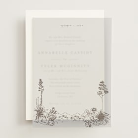 Vellum Overlays