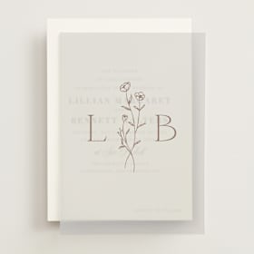 Vellum Overlays
