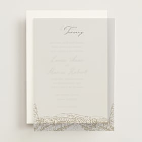 Vellum Overlays