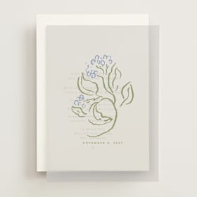 Vellum Overlays