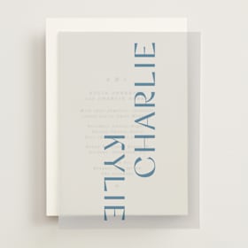 Vellum Overlays