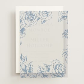 Vellum Overlays