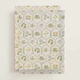 Vellum Overlays