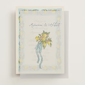 Vellum Overlays