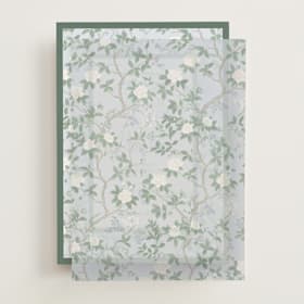 Vellum Overlays