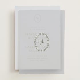 Vellum Overlays