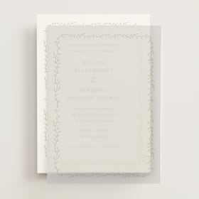 Vellum Overlays