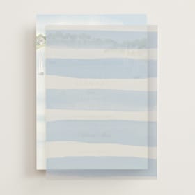 Vellum Overlays