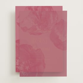 Vellum Overlays