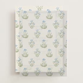 Vellum Overlays