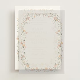 Vellum Overlays