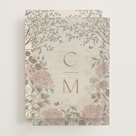 Vellum Overlays
