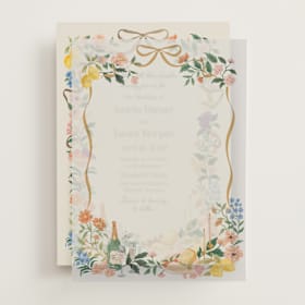 Vellum Overlays