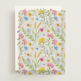 Vellum Overlays