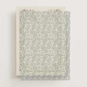 Vellum Overlays