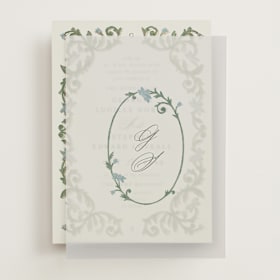 Vellum Overlays